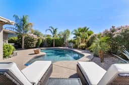 Scottsdale Sahuaro Oasis - Image 5