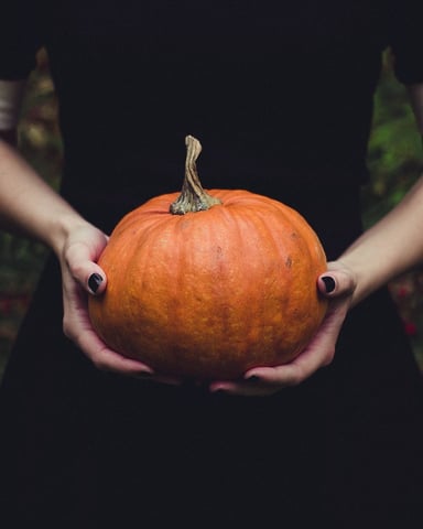 Person holding a large orange pumpkin in a garden setting