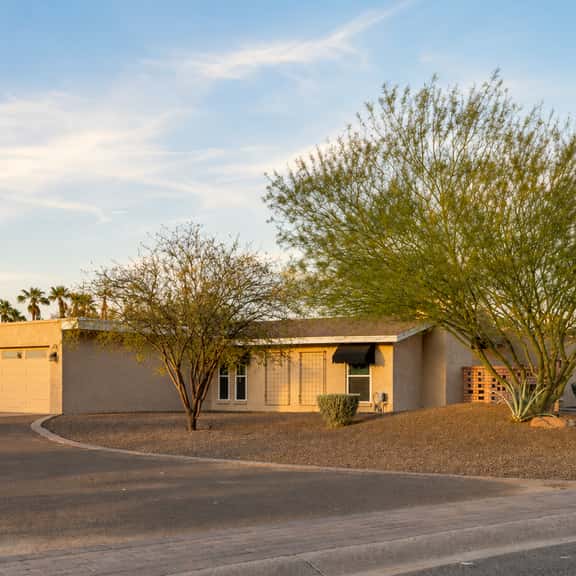 Scottsdale Cactus Landing - Image 1
