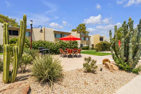 Scottsdale Camelback 469 - Image 5