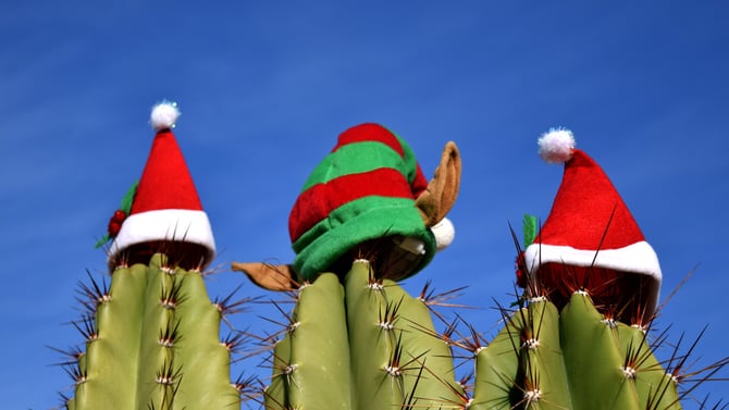 Feel the Holiday Spirit With These Scottsdale Christmas Activities