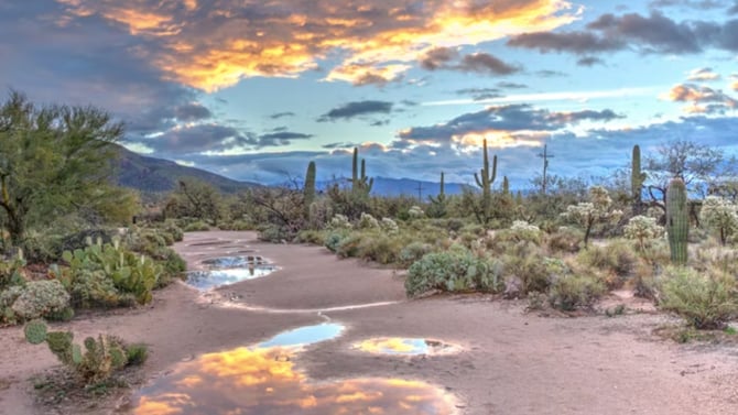When Is the Best Time to Visit Arizona? (Especially Scottsdale & Phoenix)
