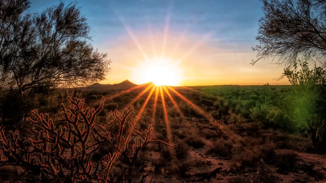 A Local's Guide to Scottsdale
