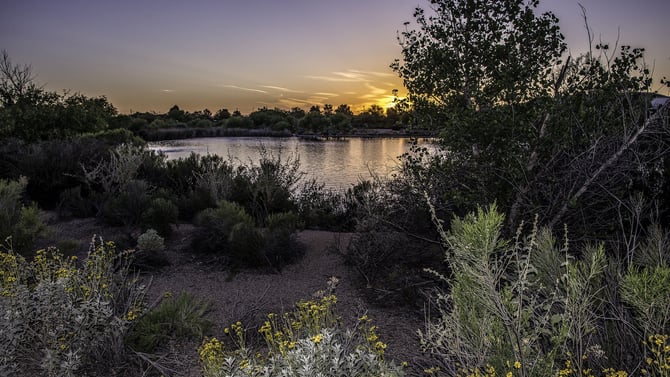 Things to Do in Scottsdale in Winter