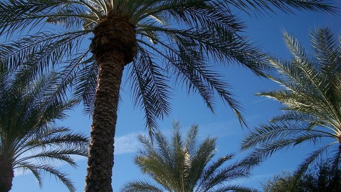 Scottsdale Journeys: 7-Day Trip to Scottsdale
