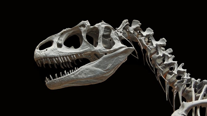 Check Out the Pangaea Land of the Dinosaurs Attraction in Scottsdale
