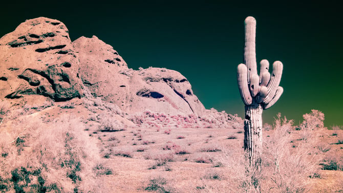 Hike the Trails at Papago Park