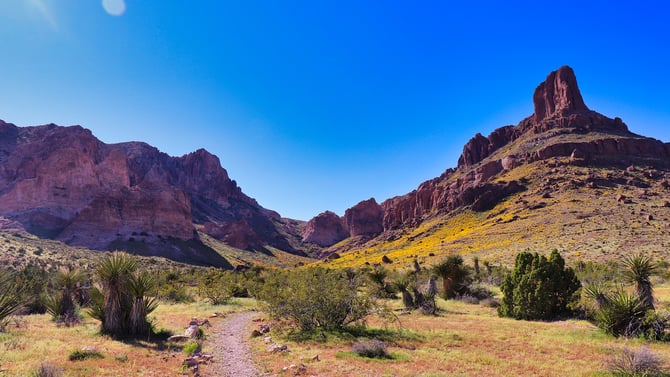 Plan the Perfect Scottsdale Spring Journey
