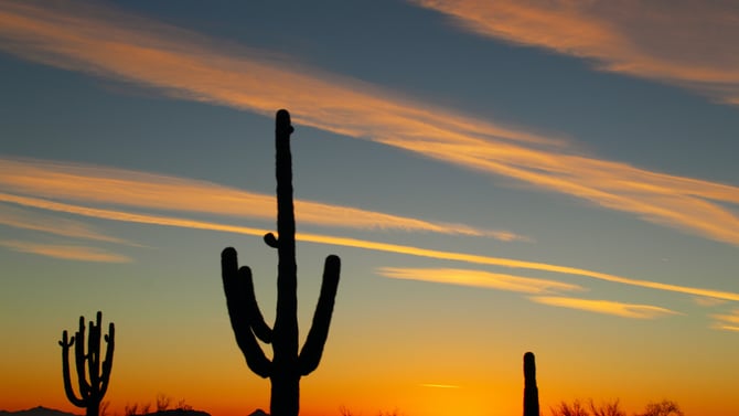Enjoy a Solo Visit to Scottsdale, AZ