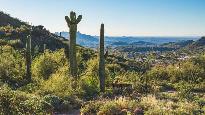 Chandler Vacation Rentals