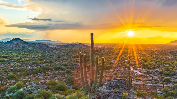 Save 15% on 3+ Night Scottsdale Stays
