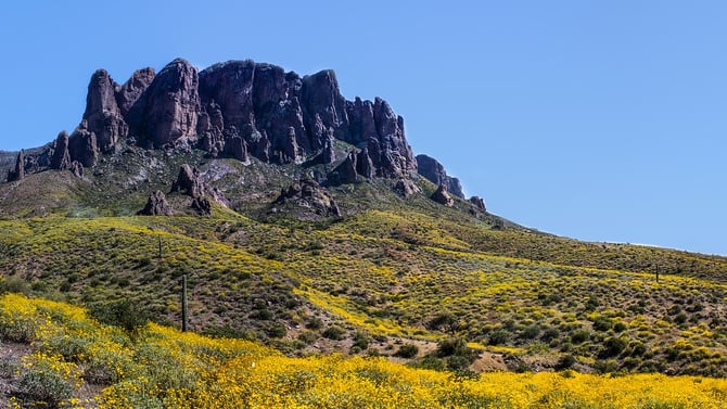 Ultimate Guide to Winter & Spring Stuff to Do in Phoenix