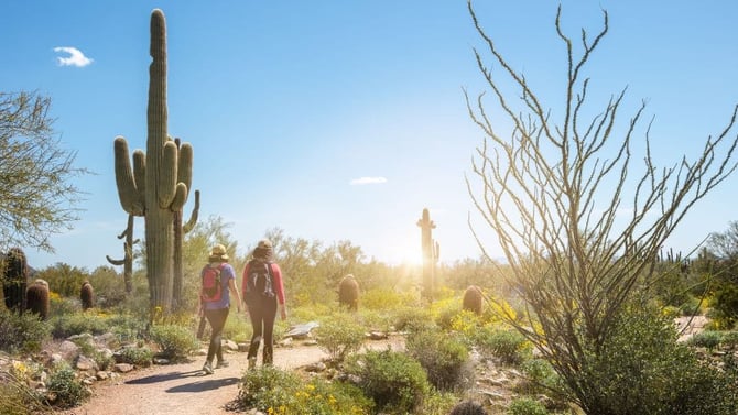 Top 5 Hiking Trails in Scottsdale, Arizona