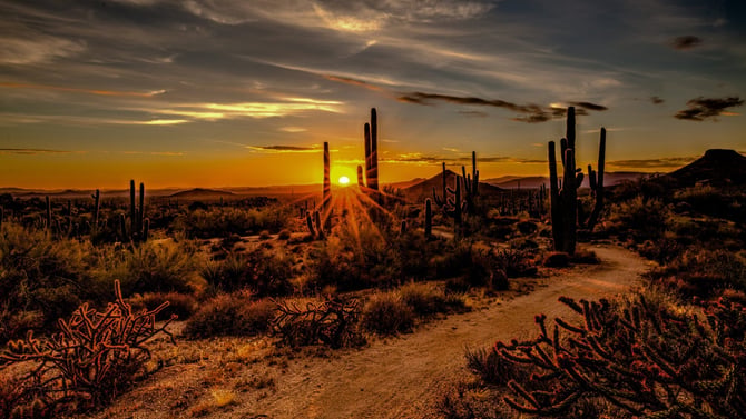 Fun Scottsdale AZ Activities for Your Fall Journey
