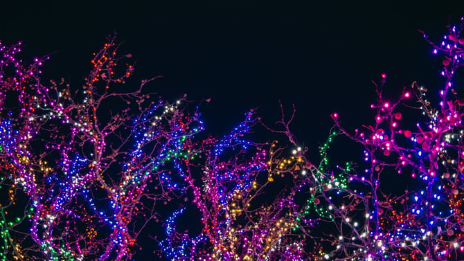 Phoenix ZooLights