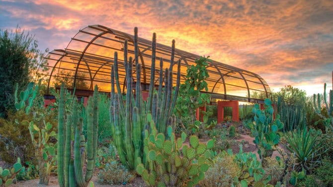 Best Luxury Experiences in Scottsdale AZ Beyond Golf & Resorts