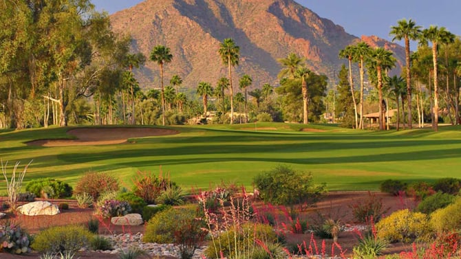 Top 5 Golf Courses in Scottsdale, Arizona
