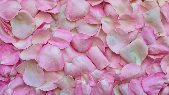 Scottsdale Valentine's Day Activities and Events You'll Love